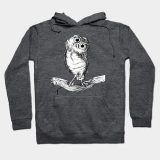 CORUJA / OWL Hoodie